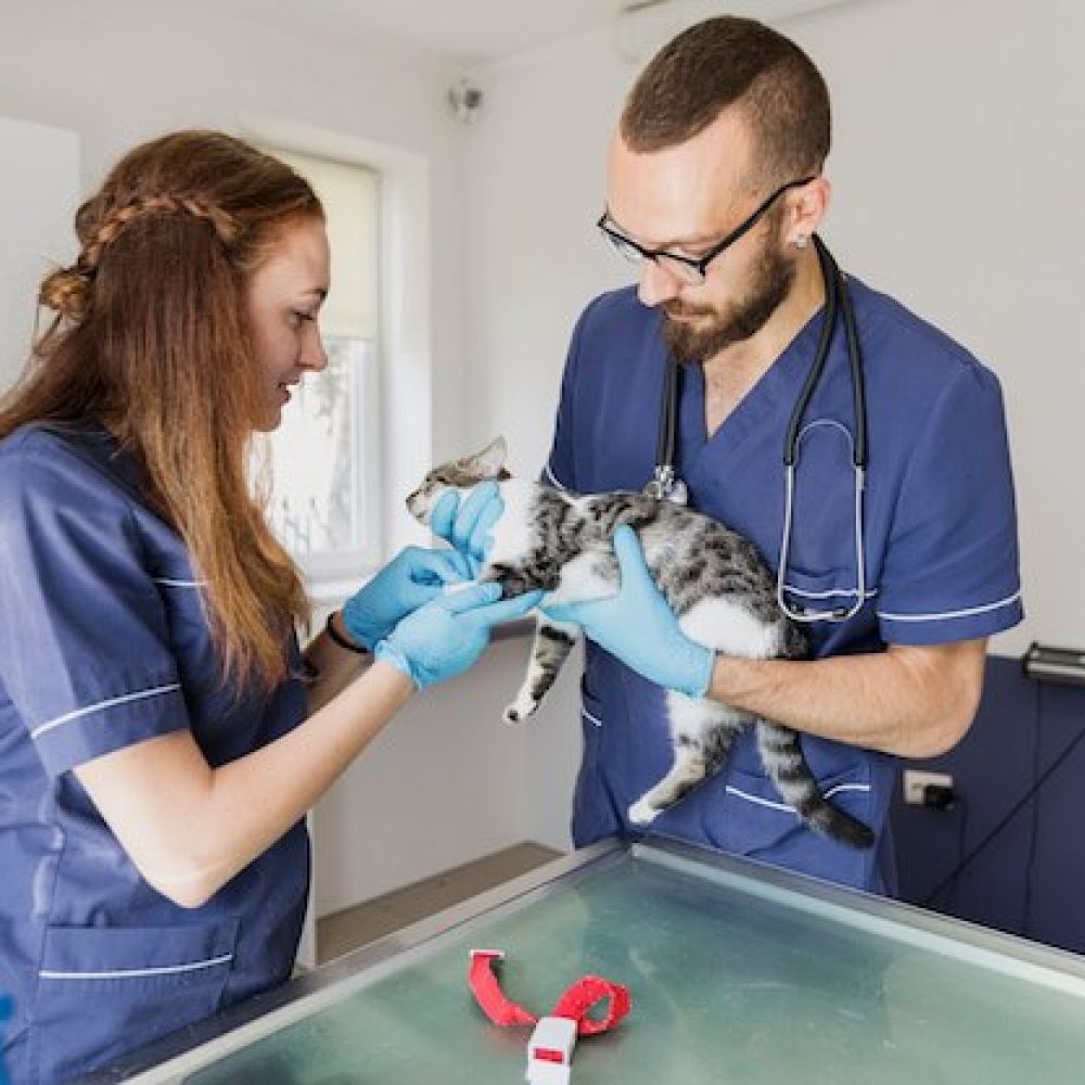 photo_2025-08-11_18-00-09